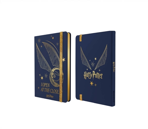 CUADERNO MOOVING NOTES T/D A5 HARRY POTTER 80H RAYADO