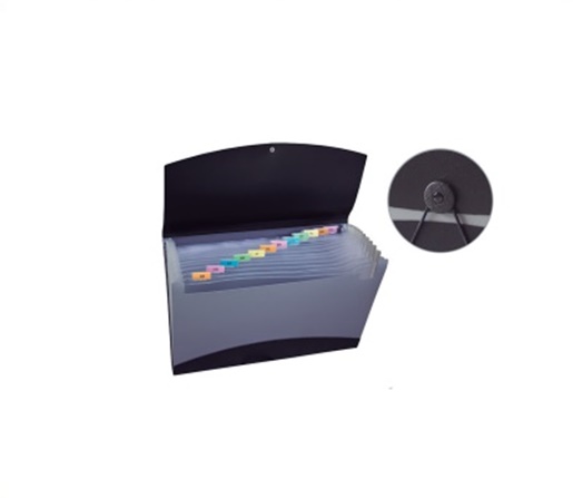 CLASIFICADOR 12 DIVISIONES LAMA A4 OPACO NEGRO-GRIS