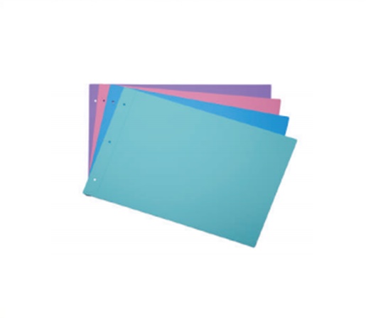CARPETA 2 TAPAS LAMA PPP N°5 OPACA PASTEL