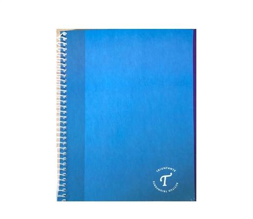 CUADERNO C/ESPIRAL TRIUNFANTE DIVIDIDOS T/F 16X21 80H RAYADO