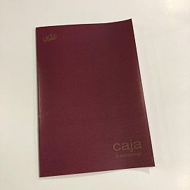 LIBRO RAB CAJA T/F 22X33 3 COLUMNAS