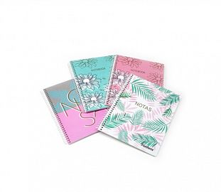 CUADERNO C/ESPIRAL TRIUNFANTE ROSE 2 T/D A6 80H RAYADO