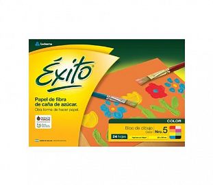 BLOCK DE DIBUJO EXITO N°5 COLOR 24H