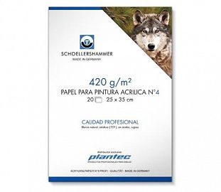 PAPEL P/PINTURA ACRILICA SCHOELLERSHAMMER N° 4 17X25 420G 20H