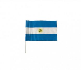 BANDERA MILENIO ARGENTINA PLASTICO GRUESO N°3 15X21 C/SOL