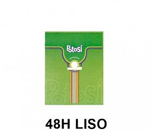 CUADERNO ABROCHADO POTOSI T/F 16X21 48H LISO