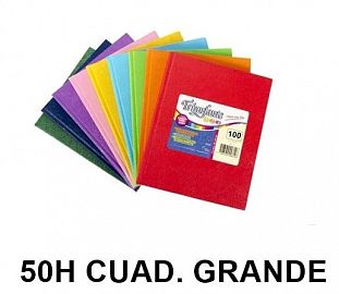 CUADERNO T/D TRIUNFANTE 123 19X24 50H CUAD. GRANDE ARAÑA