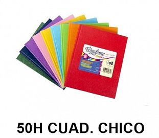 CUADERNO T/D TRIUNFANTE 123 19X24 50H CUAD. CHICO ARAÑA