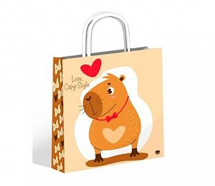 BOLSA PANAPACK 22X24 MOOD CAPY