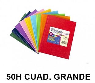 CUADERNO T/D TRIUNFANTE 123 19X24 50H CUAD. GRANDE LUNARES